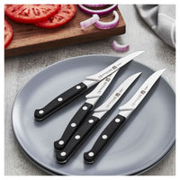 Set da bistecca liscio