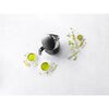 Bollitore Elettrico Zwilling Enfinigy 1,5 litri