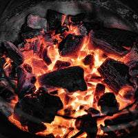 Big Green Egg mini