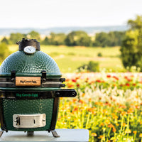 Big Green Egg mini